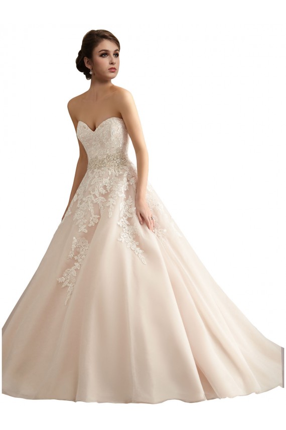 Magasins de Ivoire & Champagne Princesse Col V Traîne cathédrale Tulle Dentelle Robes de mariée
