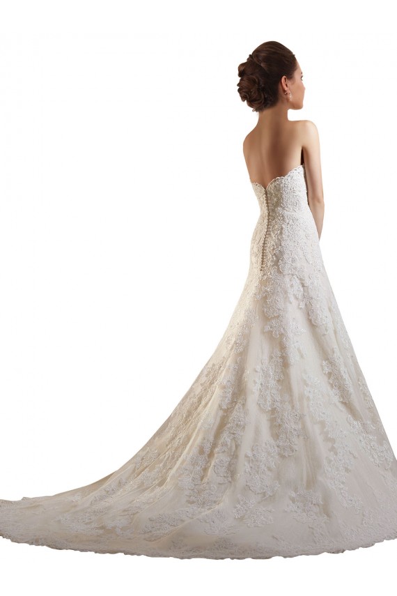 Magasins de Ivoire & Champagne Trapèze Tulle Dentelle Robes de mariée